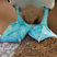 Blue-footed Booby